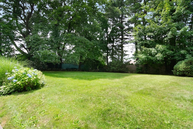 3 Little Ln, White Plains, NY 10605 - view of yard