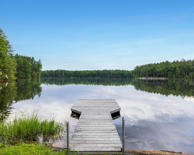 12 Summit Dr, Eldred, NY 12792 - dock area featuring a water view and a view of trees