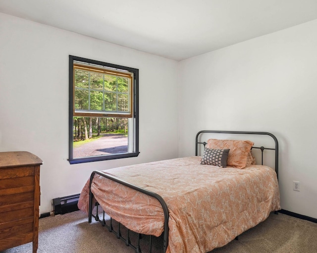 12 Summit Dr, Eldred, NY 12792 - bedroom with carpet and baseboards