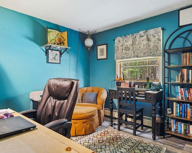 12 Summit Dr, Eldred, NY 12792 - home office with wood finished floors and a textured ceiling
