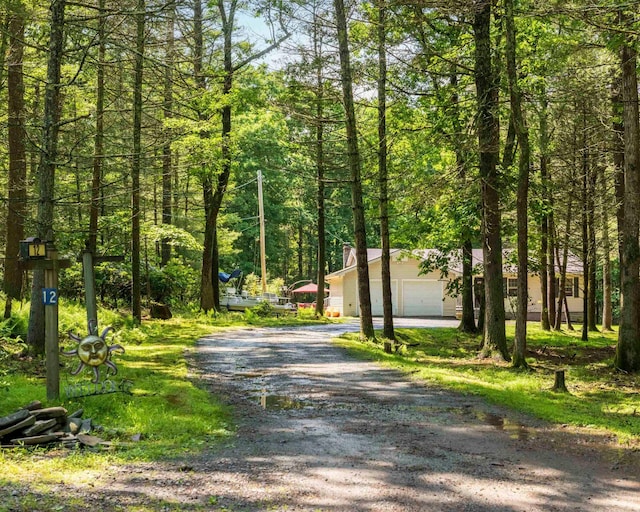12 Summit Dr, Eldred, NY 12792 - view of road with a wooded view