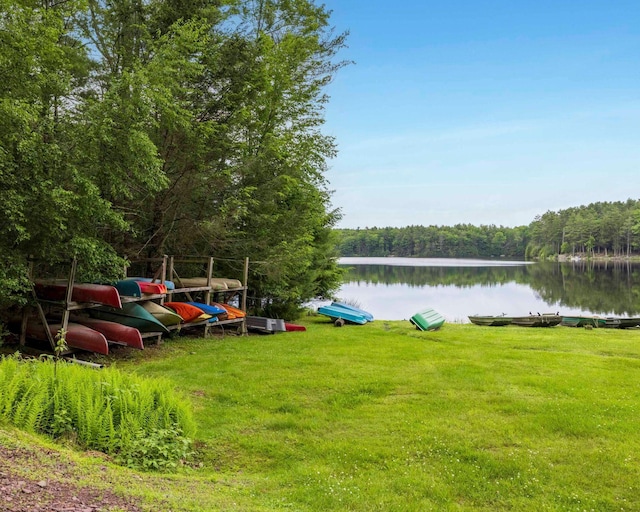 12 Summit Dr, Eldred, NY 12792 - view of grassy yard featuring a wooded view and a water view