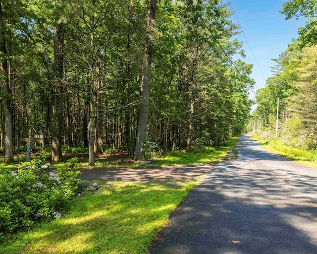 12 Summit Dr, Eldred, NY 12792 - view of street