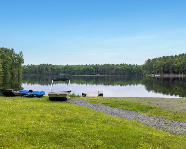 12 Summit Dr, Eldred, NY 12792 - dock with a view of trees, a water view, and a lawn