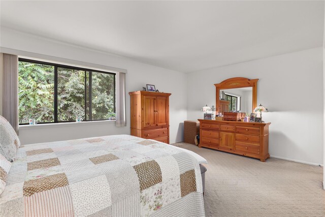 96 Molly Pitcher Ln Unit H, Yorktown Heights, NY 10598 - bedroom with carpet