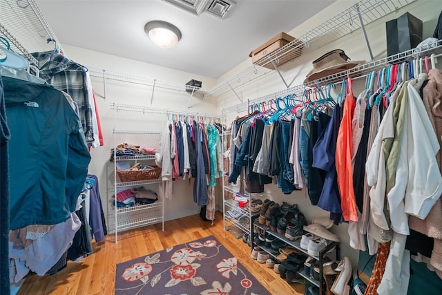 6 Long Meadow Way, Goshen, NY 10924 - spacious closet with wood finished floors