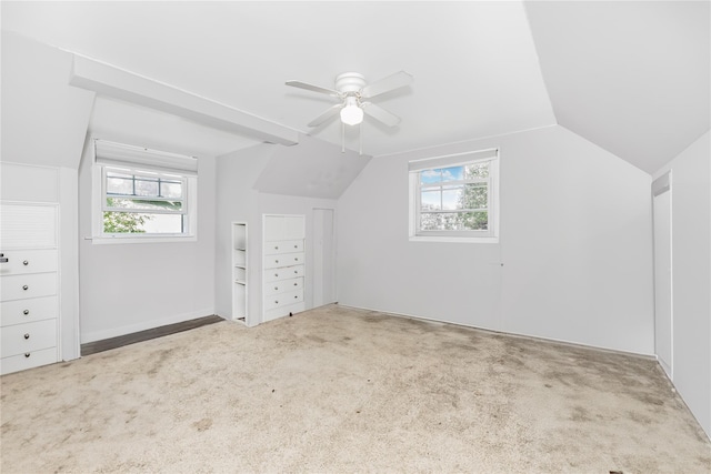 13 Valley View Dr, New Windsor, NY 12553 - additional living space with lofted ceiling, healthy amount of natural light, carpet flooring, and a ceiling fan