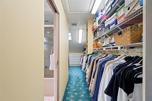 8 Ellis Dr, Syosset, NY 11791 - spacious closet with attic access and carpet flooring
