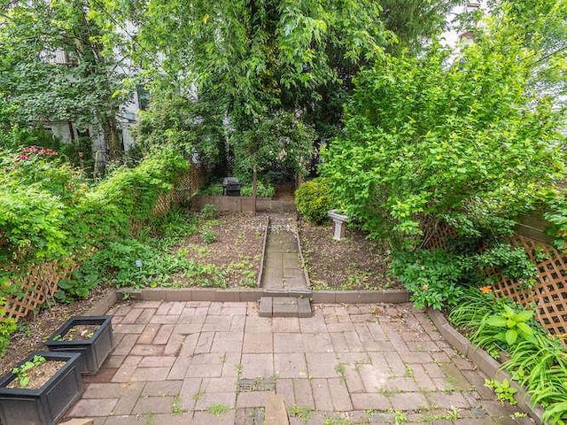 17 Clarkson Ave, Brooklyn, NY 11226 - photo 33