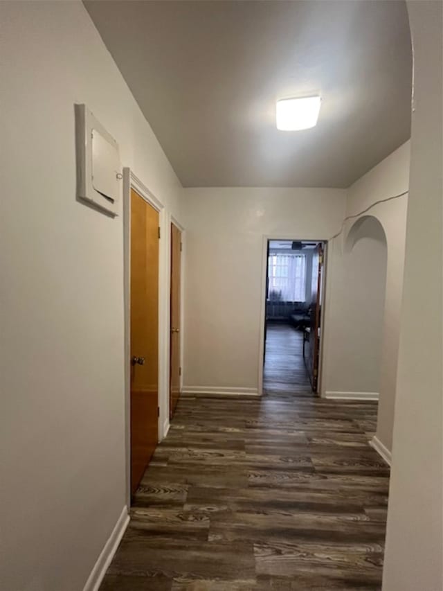 3338 Parsons Blvd Unit 6G, Flushing, NY 11354 - hallway with dark wood-type flooring