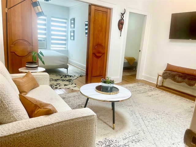 100-15 Ascan Ave, Forest Hills, NY 11375 - living area featuring light wood-style floors