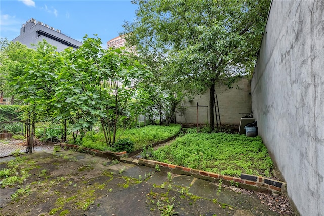 5-17 51st Ave, Long Island City, NY 11101 - view of yard