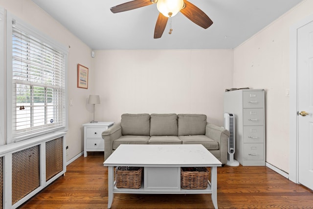 206 Brower Ave, Rockville Centre, NY 11570 - living room featuring wood finished floors, a ceiling fan, and radiator heating unit