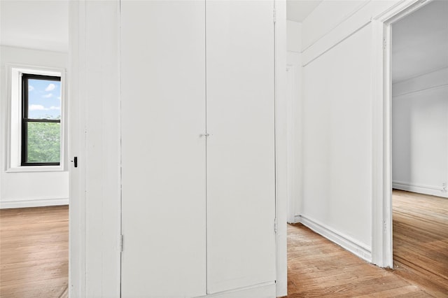 43 Calton Rd Unit 4J, New Rochelle, NY 10804 - detailed view of wood finished floors and baseboards
