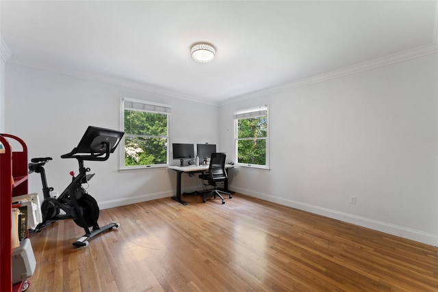 12 Walden Ln, Rye, NY 10580 - photo 19