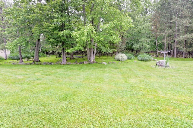 5 Rubinstein Ct, Spring Valley, NY 10977 - photo 32