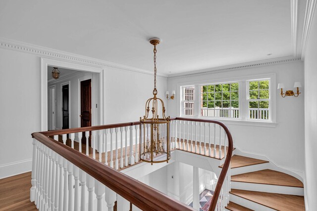 14 Private Rd, Bayville, NY 11709 - photo 31