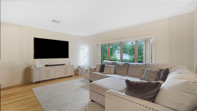6 Sycamore Pl, Smithtown, NY 11787 - living room featuring light wood-type flooring and ornamental molding