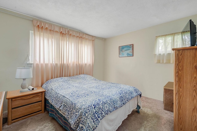 9 Laurie Rd, Brentwood, NY 11717 - view of carpeted bedroom