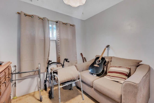 9 Laurie Rd, Brentwood, NY 11717 - exercise room featuring carpet flooring