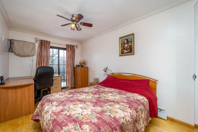 509 Julius Rd, College Point, NY 11356 - photo 13