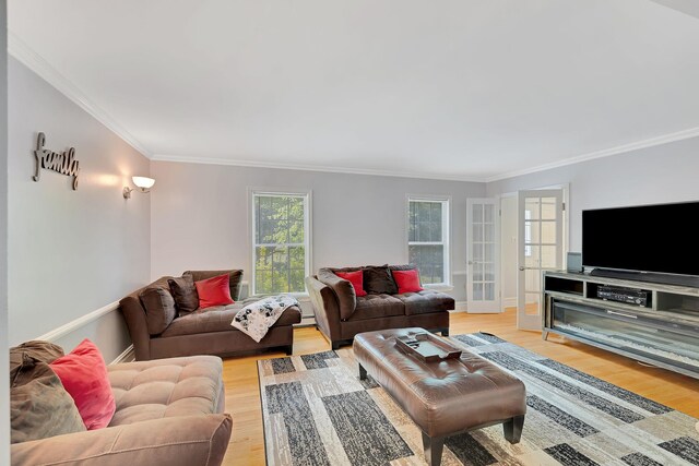 8 Mueller Mountain Rd, Putnam Valley, NY 10579 - living area featuring ornamental molding, light wood-style flooring, a baseboard radiator, and baseboards