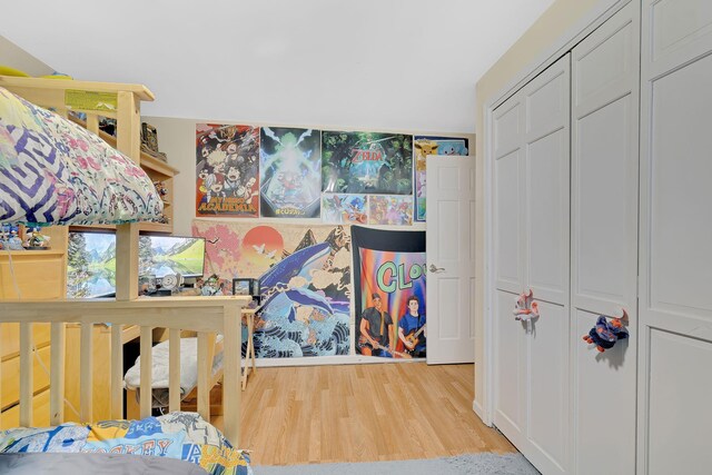 8 Mueller Mountain Rd, Putnam Valley, NY 10579 - bedroom featuring wood finished floors and a closet
