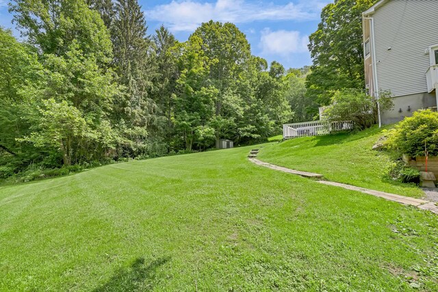 8 Mueller Mountain Rd, Putnam Valley, NY 10579 - view of green lawn