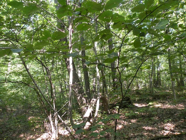 618-634 Bean River Rd, Millerton, NY 12567 - photo 24