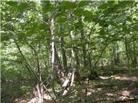 618-634 Bean River Rd, Millerton, NY 12567 - photo 25