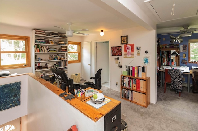 6807 State Route 42, Woodbourne, NY 12788 - office with a ceiling fan, attic access, light colored carpet, and plenty of natural light