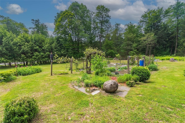 6807 State Route 42, Woodbourne, NY 12788 - view of green lawn featuring a garden