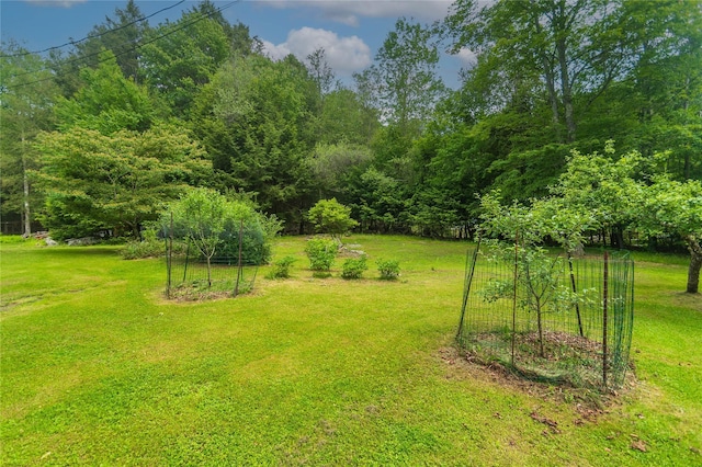 6807 State Route 42, Woodbourne, NY 12788 - view of grassy yard featuring a garden