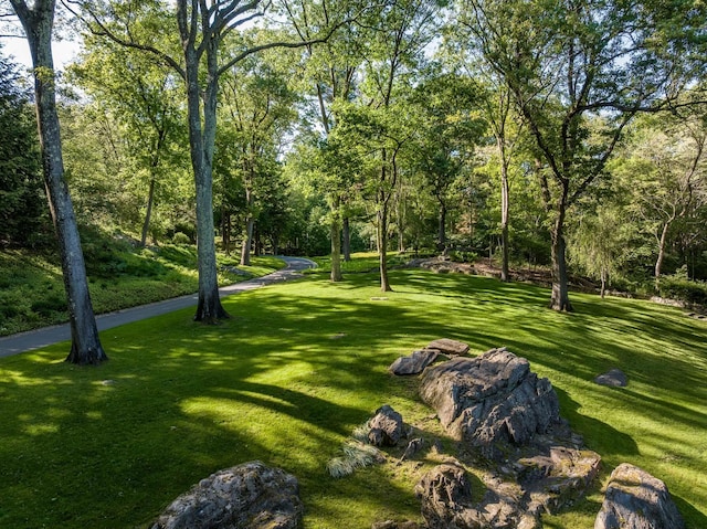 842 Sleepy Hollow Rd, Briarcliff Manor, NY 10510 - surrounding community featuring a lawn