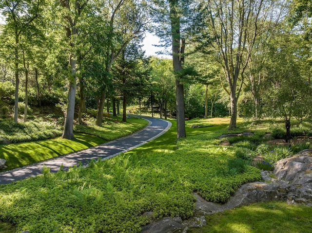 842 Sleepy Hollow Rd, Briarcliff Manor, NY 10510 - view of home's community with a lawn