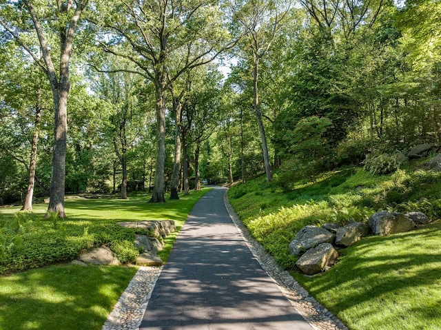 842 Sleepy Hollow Rd, Briarcliff Manor, NY 10510 - photo 30