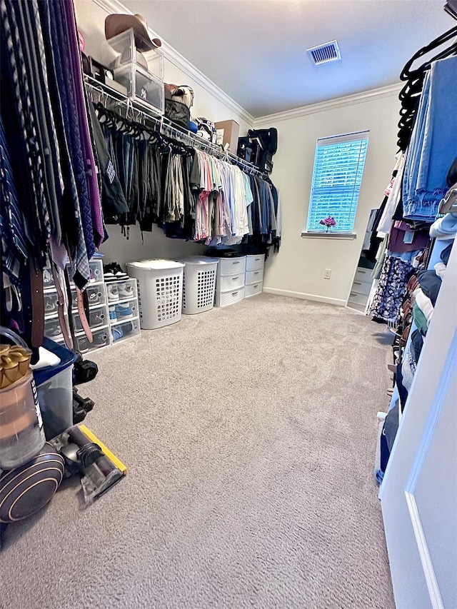 35 Laurel Cir, Goshen, NY 10924 - spacious closet featuring carpet floors