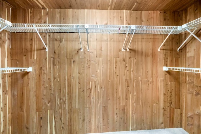 628 8th Ave, New Hyde Park, NY 11040 - view of spacious closet