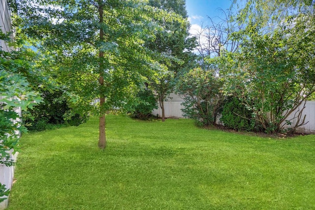 628 8th Ave, New Hyde Park, NY 11040 - view of yard