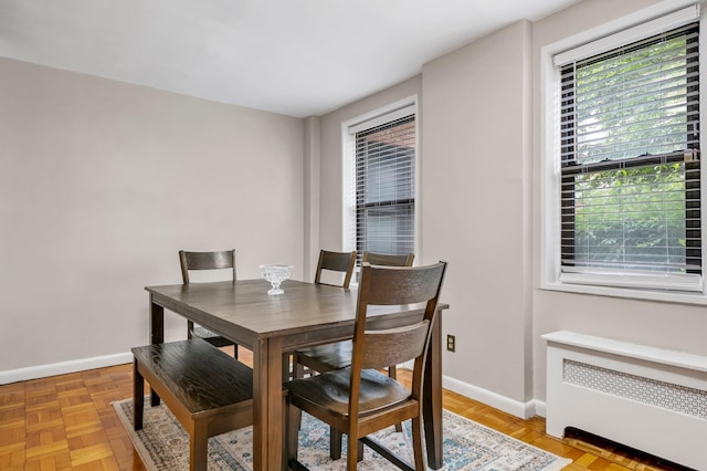 1 Birchwood Ct Unit 1N, Mineola, NY 11501 - dining space featuring radiator heating unit and baseboards