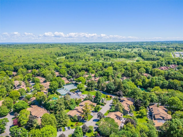 43 Carriage Ct, Jericho, NY 11753 - drone / aerial view of a forest
