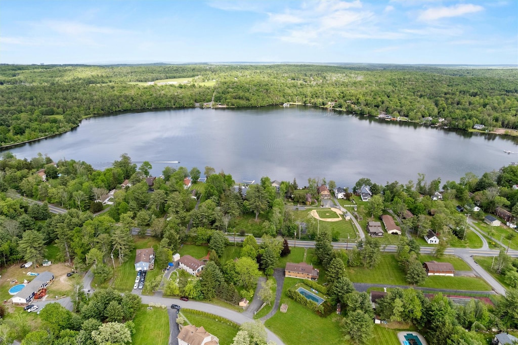 17 Old Congress Rd, Monticello, NY 12701 - photo 1