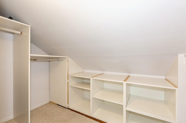 15 Orchard Rd, East Patchogue, NY 11772 - walk in closet with vaulted ceiling and light carpet