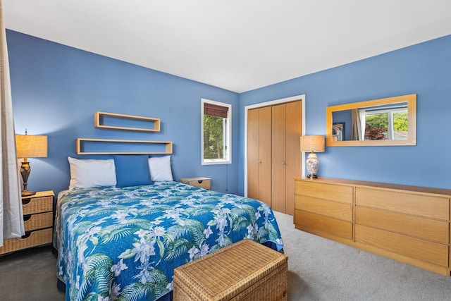 59 Krystal Dr, Somers, NY 10589 - bedroom with carpet flooring, multiple windows, and a closet