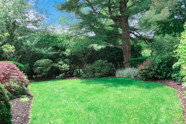 184 S Country Rd, Bellport Village, NY 11713 - photo 31