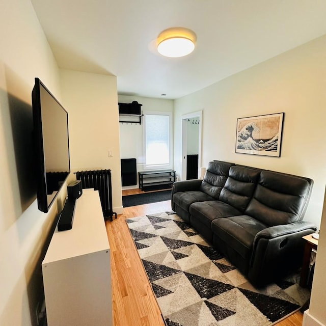 22 Spring St, Port Chester, NY 10573 - living room with radiator heating unit and light wood-style floors