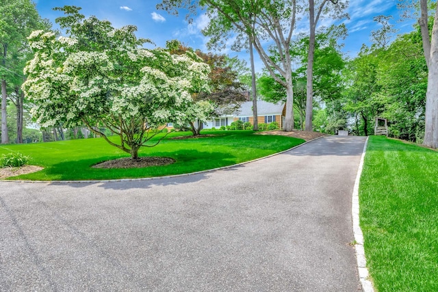 2 The Spout, Smithtown, NY 11787 - view of front of house featuring a front lawn