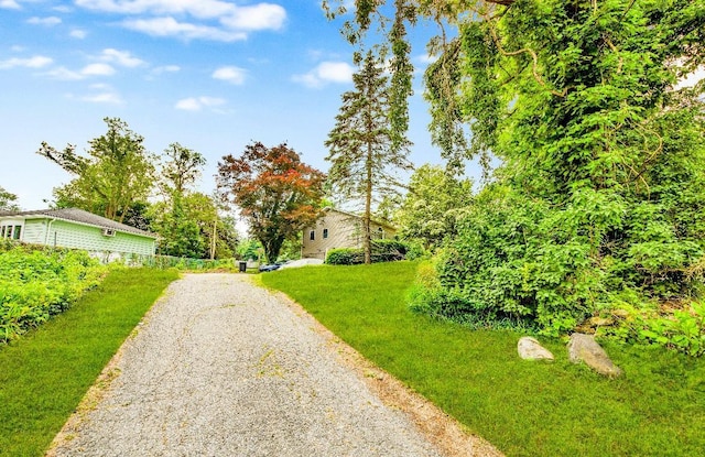 481 E Branch Rd, Patterson, NY 12563 - view of dirt / gravel road