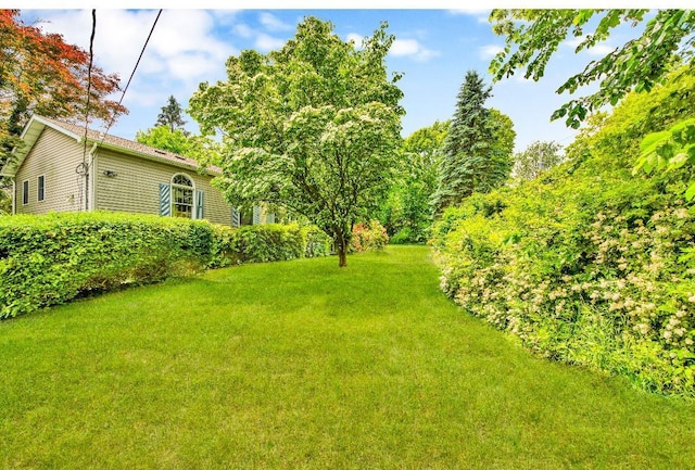 481 E Branch Rd, Patterson, NY 12563 - view of grassy yard