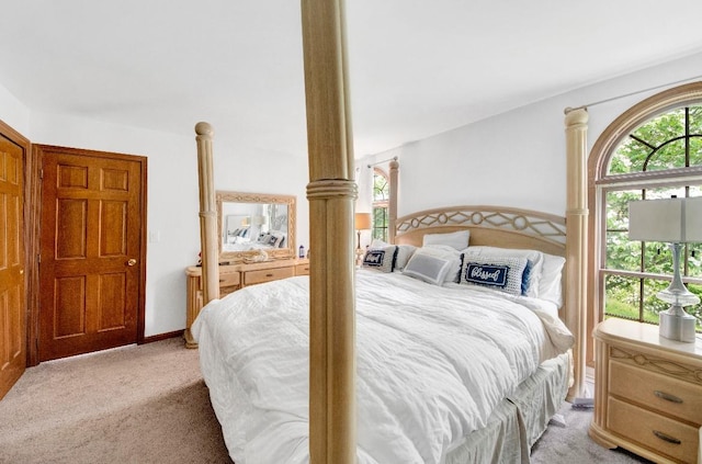 481 E Branch Rd, Patterson, NY 12563 - bedroom with light carpet